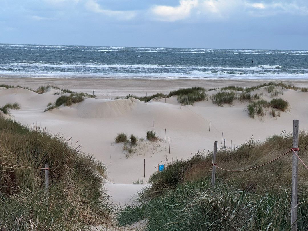 Vuurtorenweg Texel Beach-De Cocksdorp必去景点