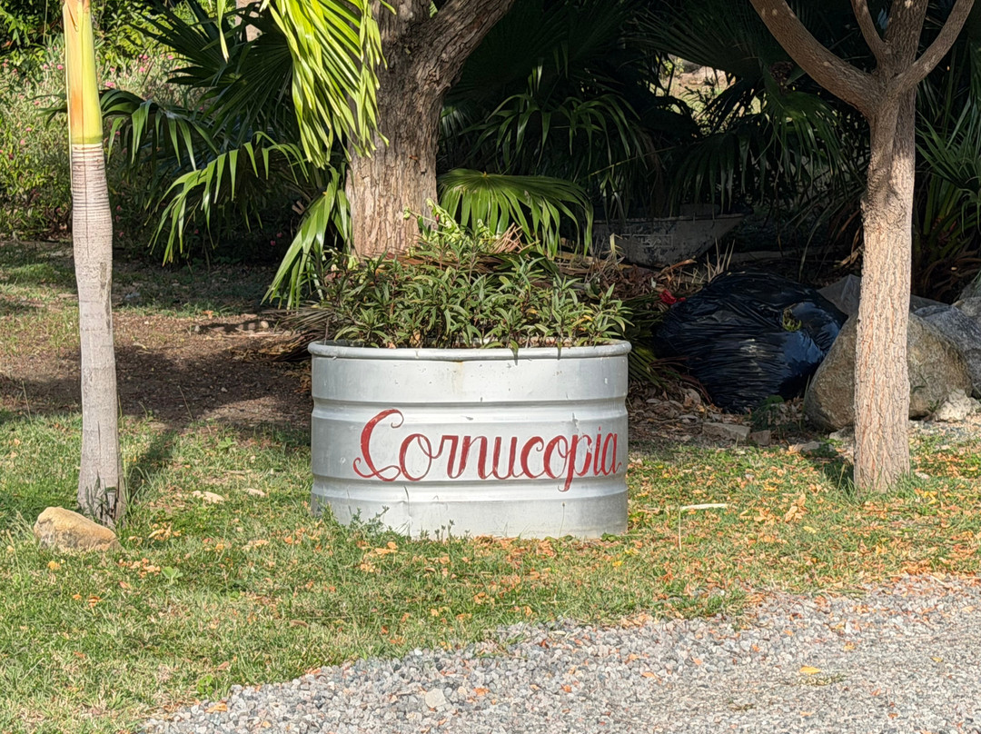 Villa Cornucopia BVI主图