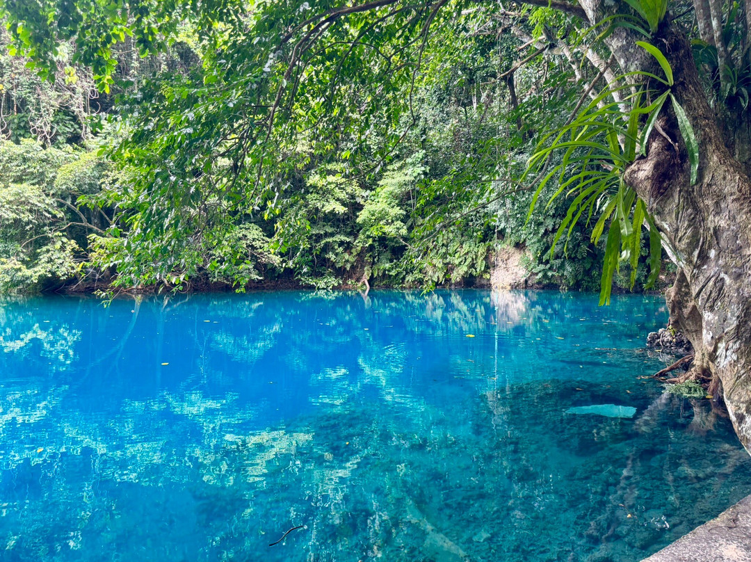 Riri Blue Hole-卢甘维尔必去景点