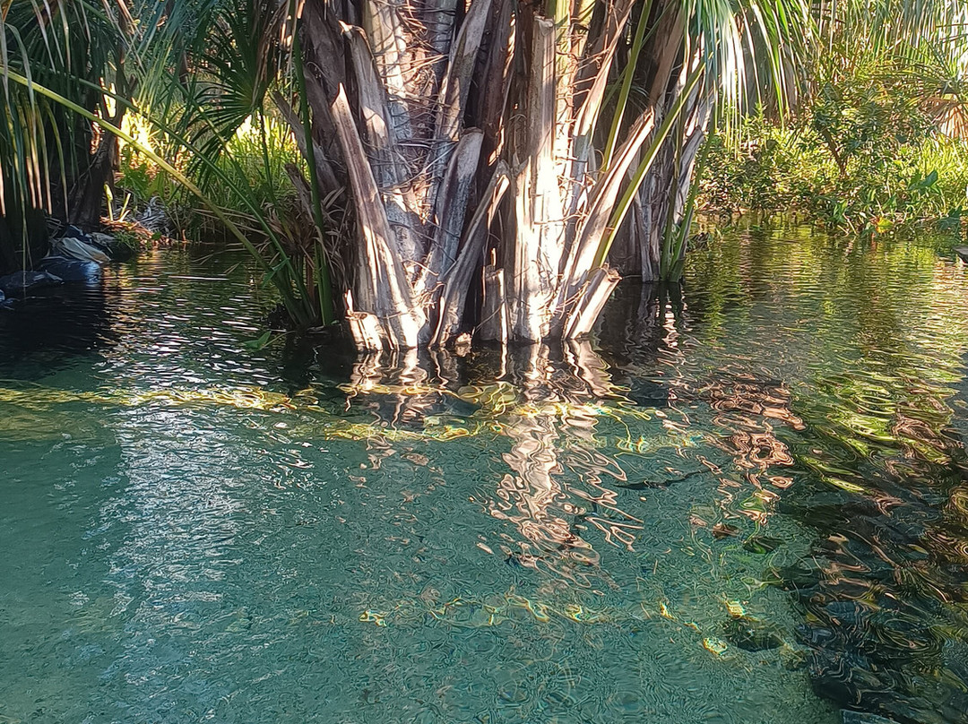 Cerrado Dourado Expedições-Jalapao State Park必去景点