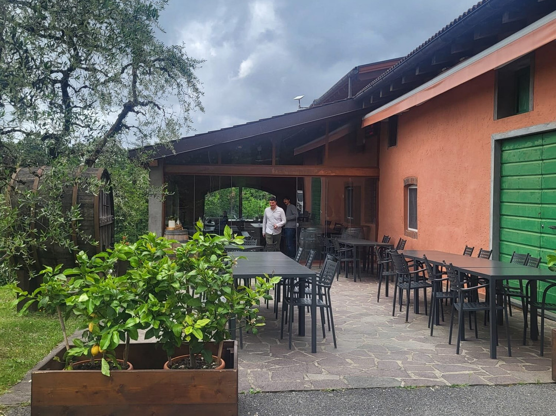 Tenuta Adamo Winery-卢卡必去景点