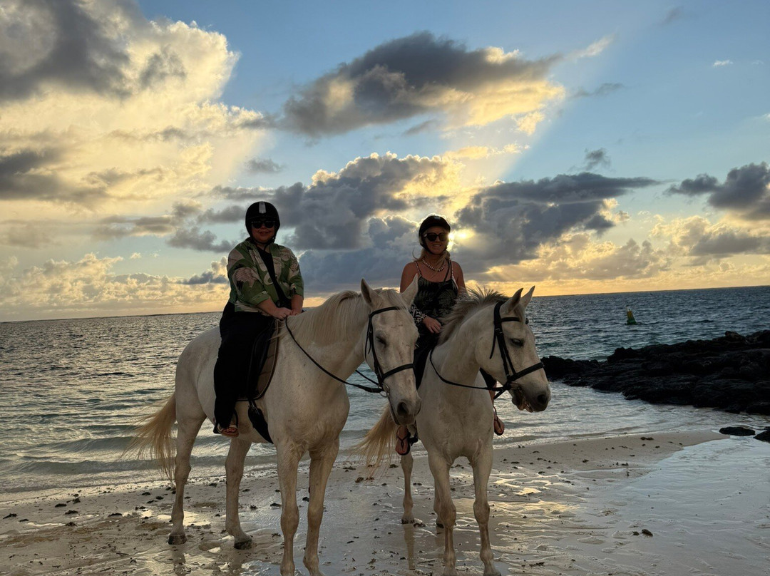 Legasea Stables Mauritius-Quatre Cocos必去景点
