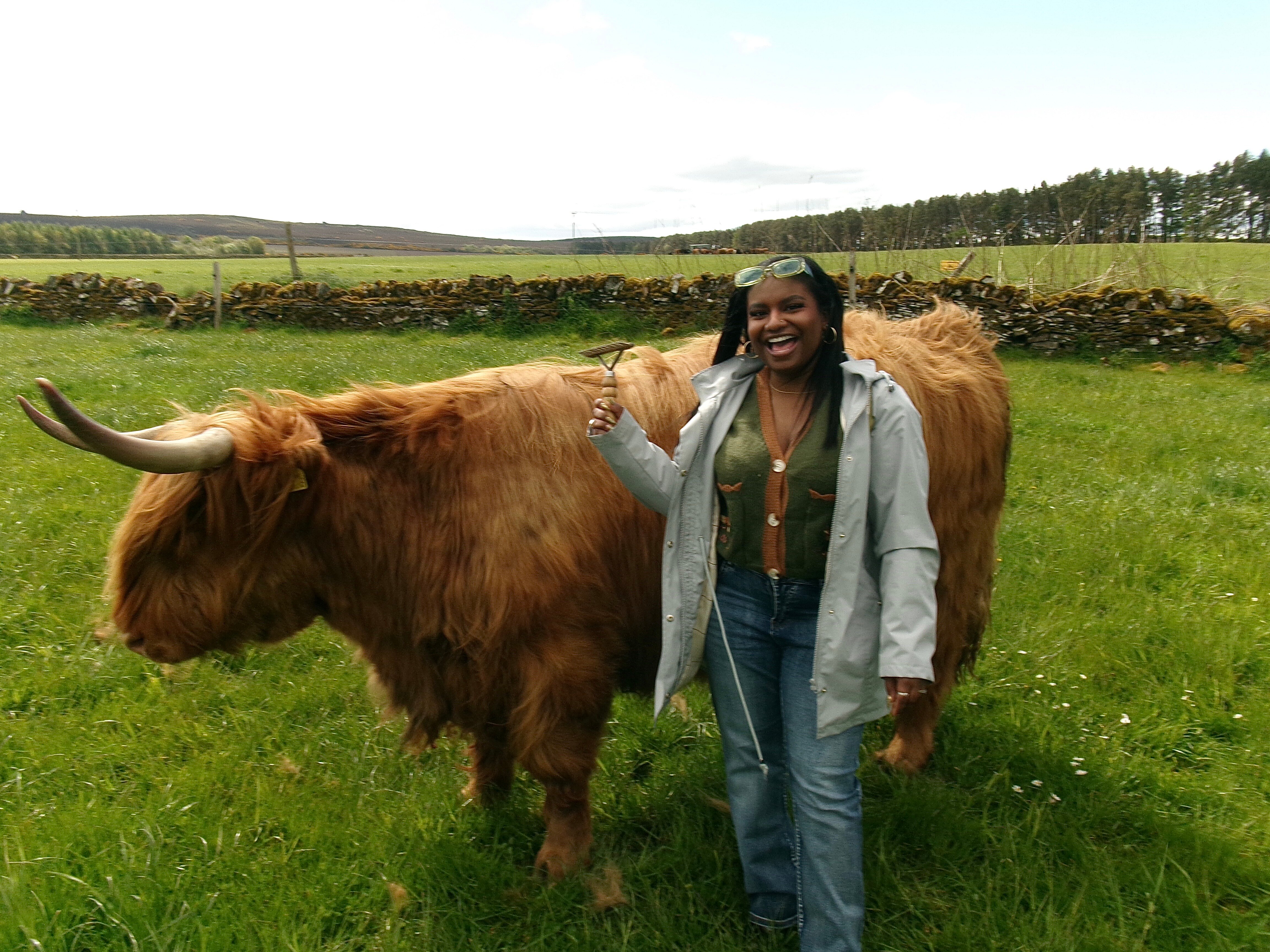 Newton Farm Holidays & Tours-旅行者