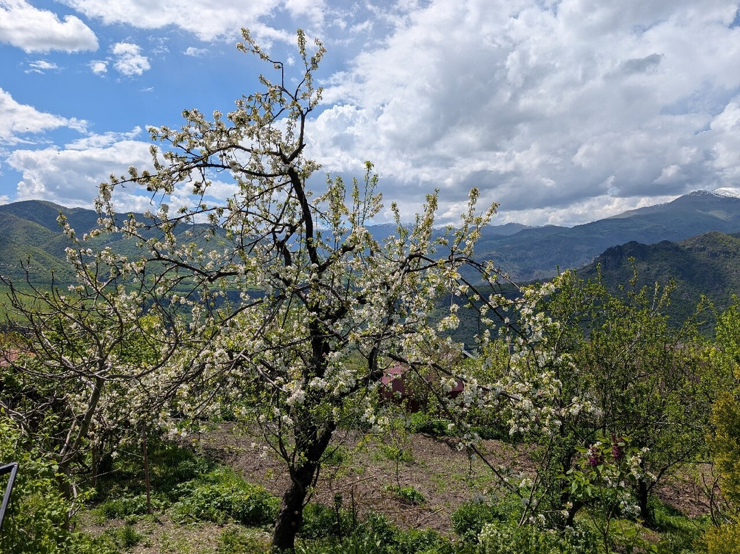 Envoy Tours-埃里温必去景点