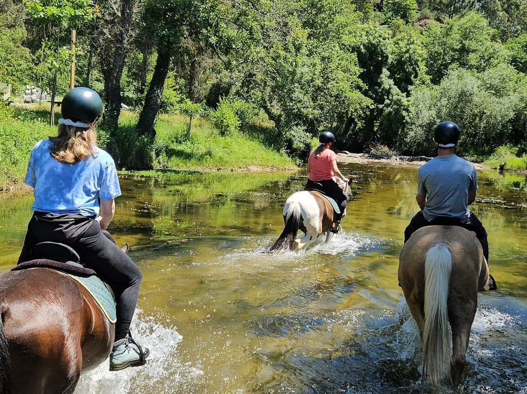 NaturaHorses-Vila Nova de Milfontes必去景点