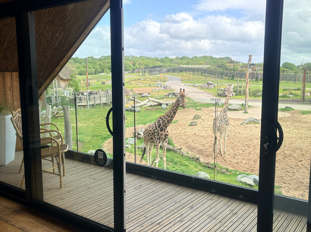 Safari Lodges At West Midlands Safari Park主图