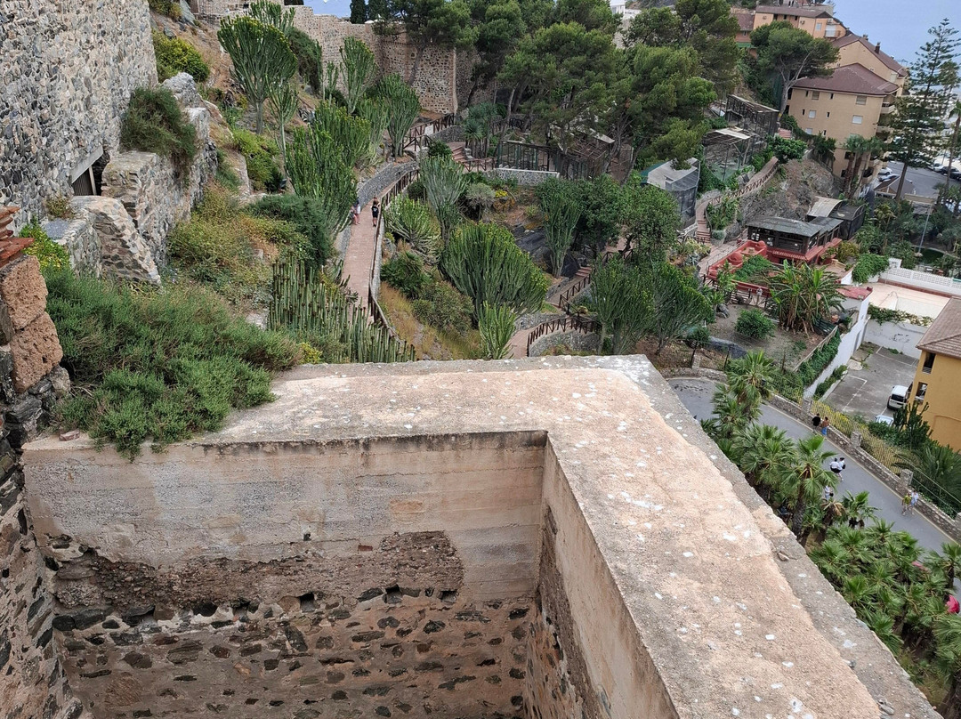 Castillo de San Miguel-阿尔穆涅卡尔必去景点