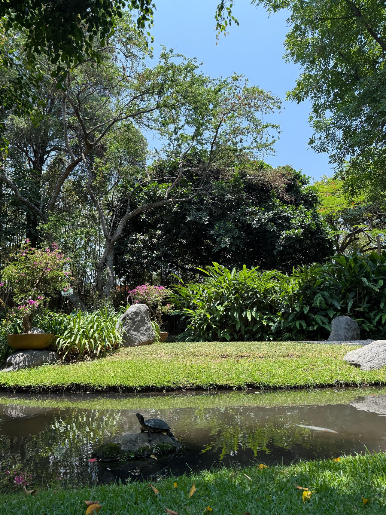 太阳使命度假村和水疗中心 - 限成人-度假村/酒店