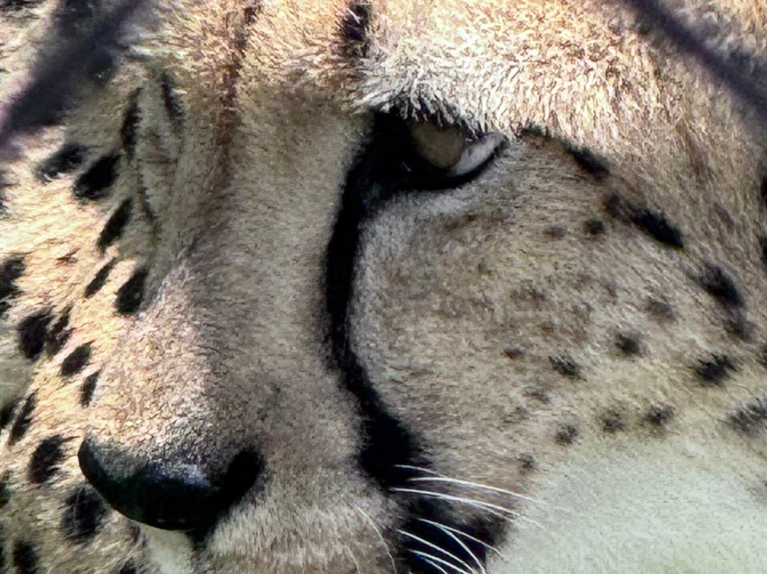 Panther Ridge Conservation Center-Loxahatchee必去景点