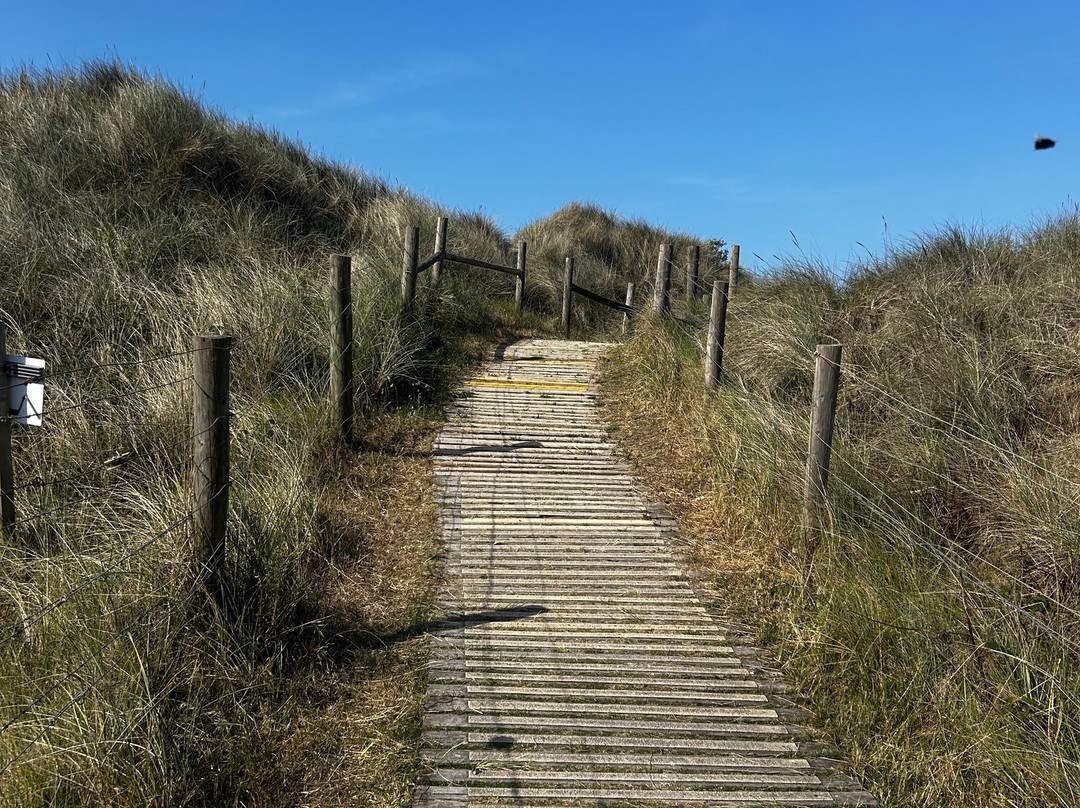 West Beach Local Nature Reserve-利特尔汉普顿必去景点