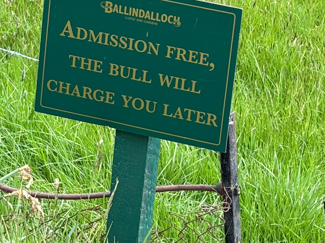 Ballindalloch Castle and Gardens-Ballindalloch必去景点