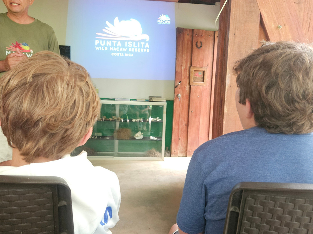 Macaw Recovery Network-Punta Islita必去景点