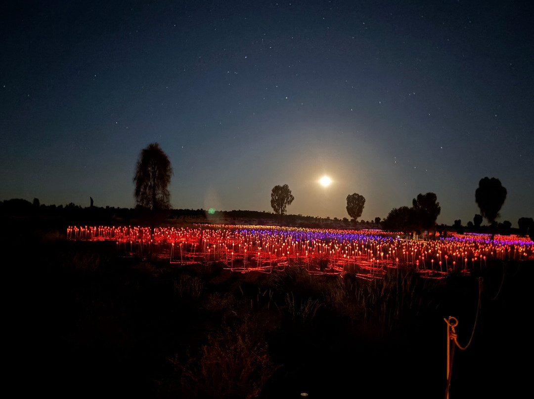 Field of Light-乌鲁鲁-卡塔丘塔国家公园必去景点