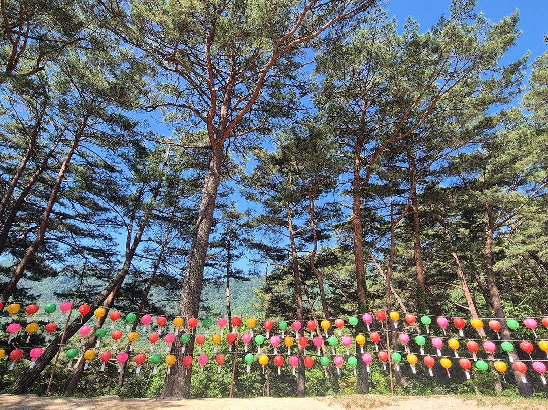 Bubheungsa Temple-宁越郡必去景点