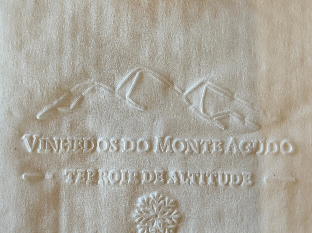 Vinhedos do Monte Agudo-Sao Joaquim必去景点