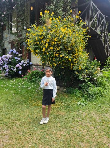 The Sonaugi Homestead-旅行者
