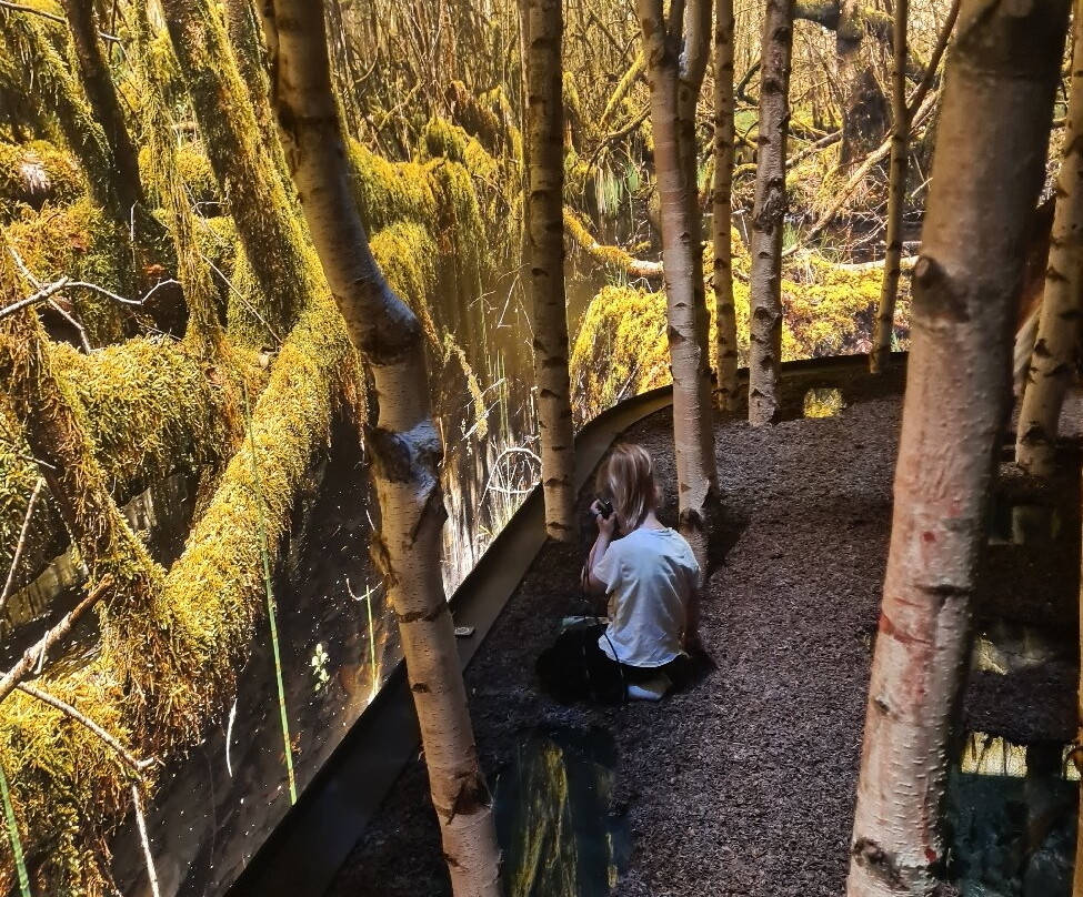 Ohavsmuseet-福堡必去景点