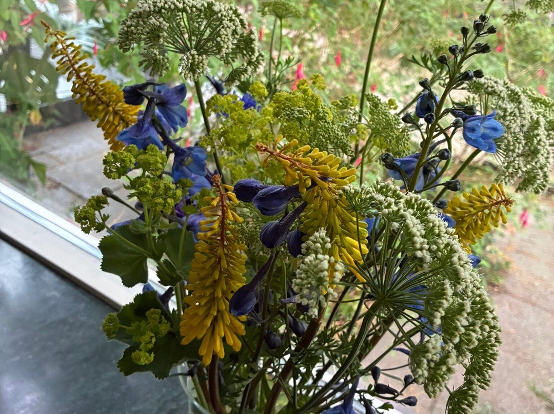 Snijbloemen Pluktuin Bakkum-Egmond-Binnen必去景点
