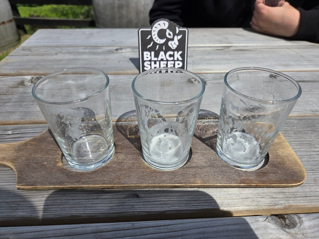 The Black Sheep Brewery-马沙姆必去景点