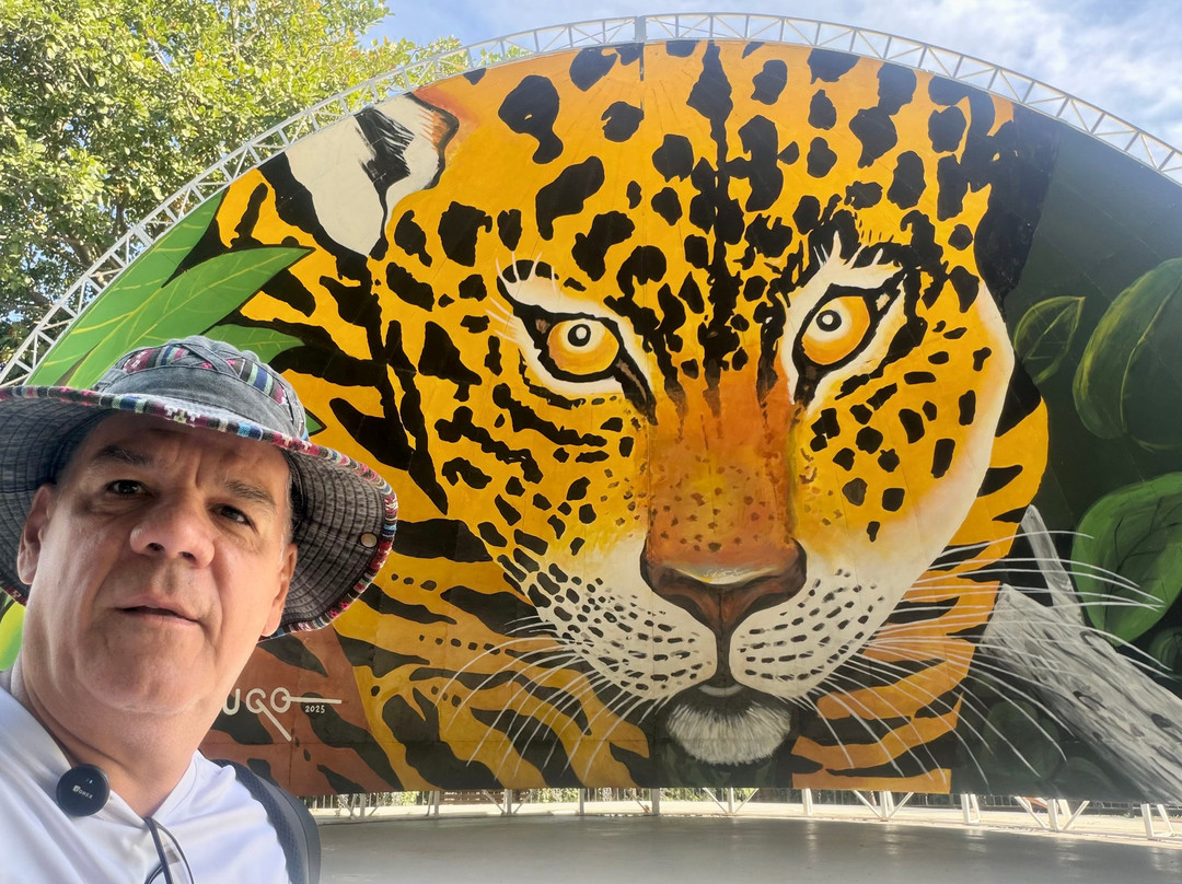 Parque Mãe Bonifácia-Cuiaba必去景点