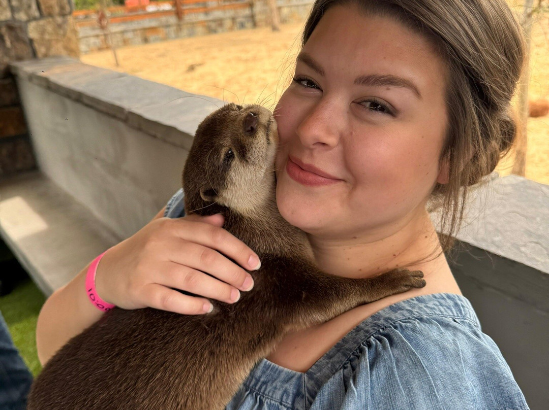 Beavers Bend Safari Park-Hochatown必去景点