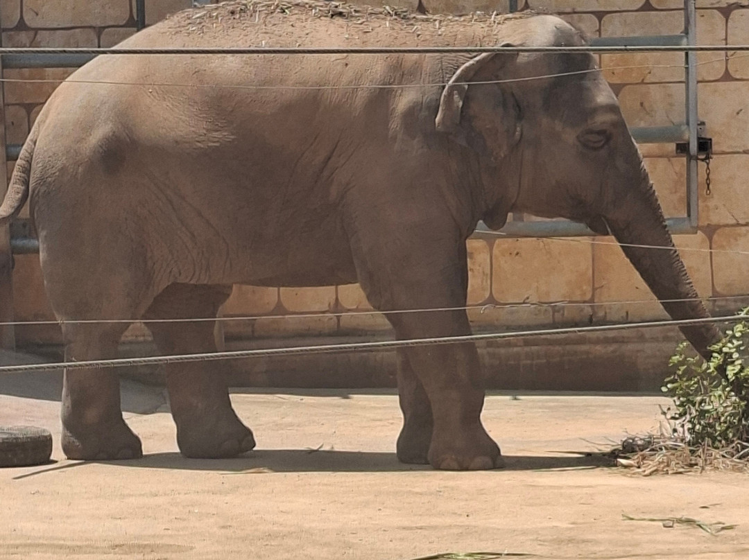 Pafos Zoo-帕福斯必去景点