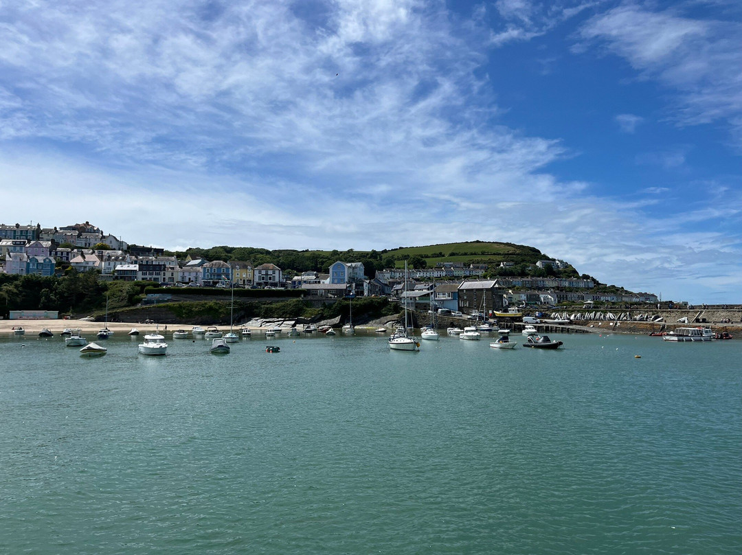 Dolphin Spotting Boat Trips (by New Quay Boat Trips)-纽基必去景点