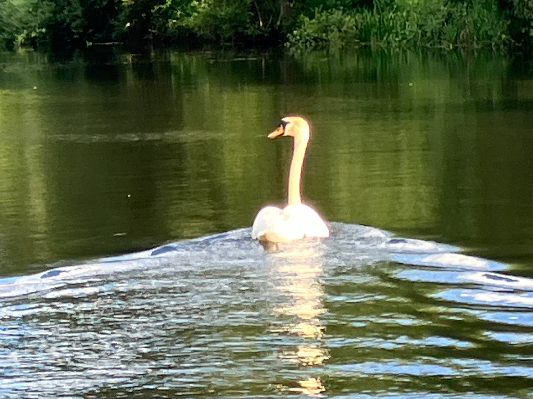 Grantham Canal Three Shires Boat Trips-Woolsthorpe by Belvoir必去景点
