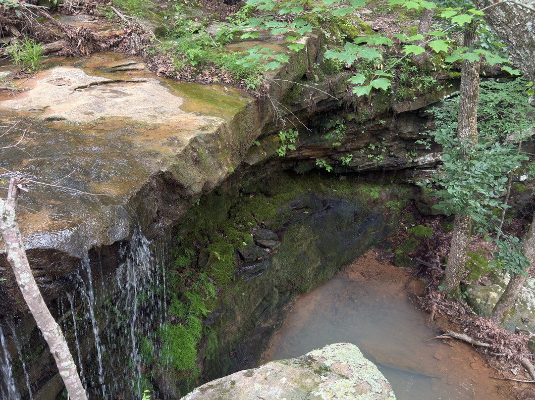 Wilderness Rider Buffalo Ranch & Adventure Park-Kingston必去景点