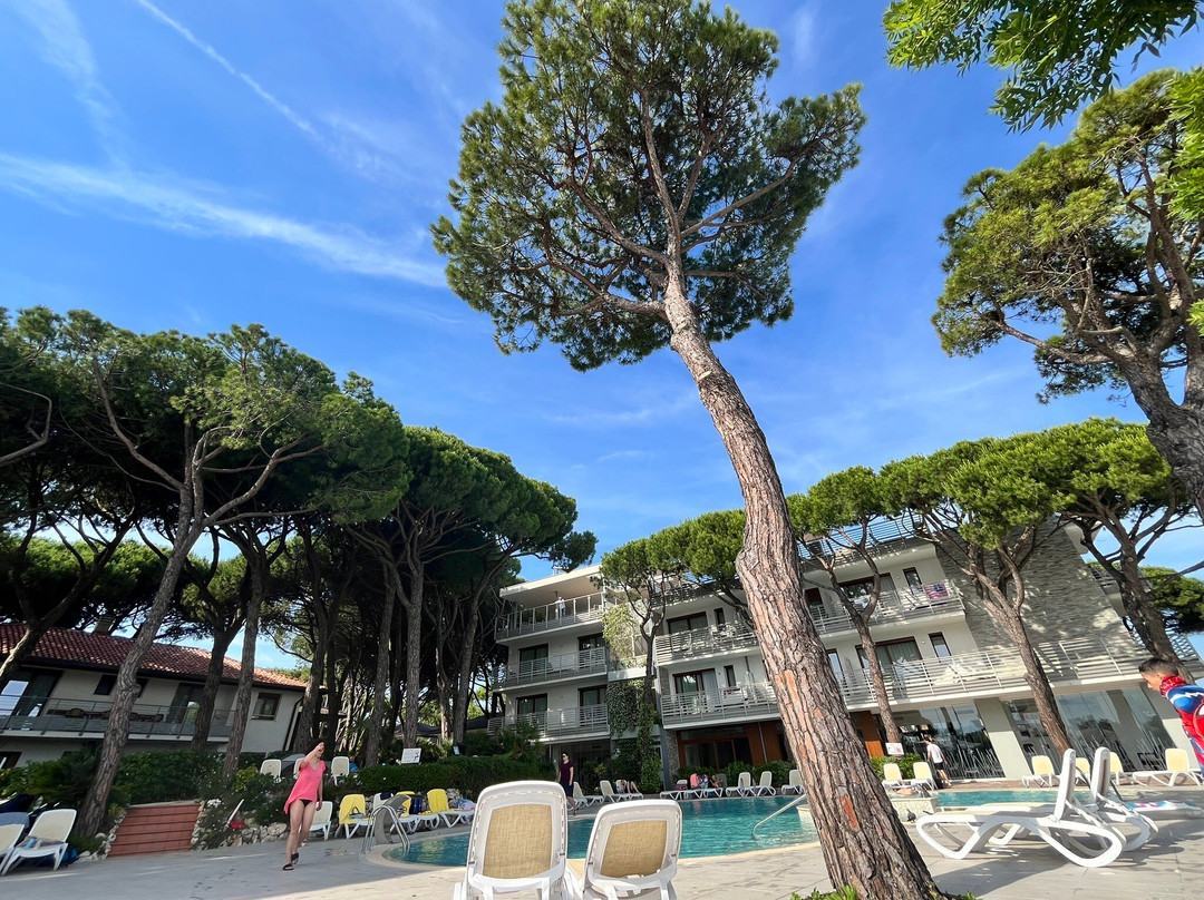 Park Hotel Pineta - Family Relax Resort主图