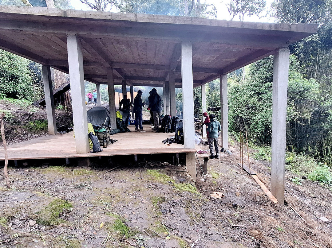 Nyungwe National Park - Rwanda-Western Province必去景点
