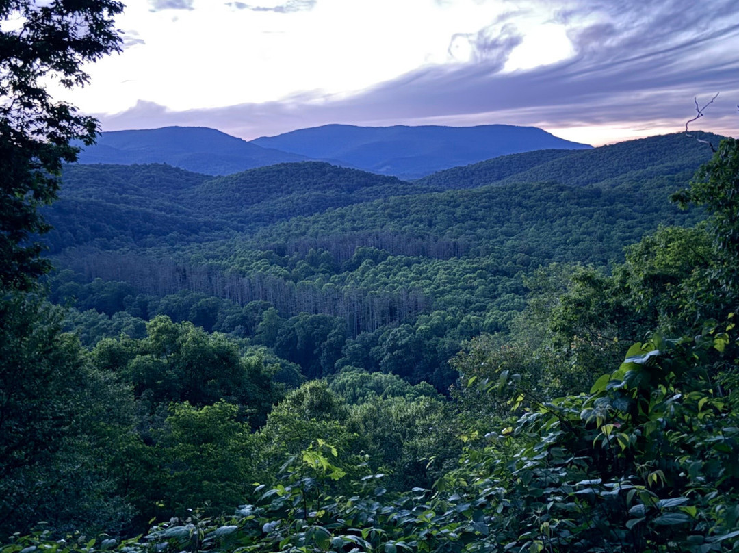 Seneca State Forest-Marlinton必去景点