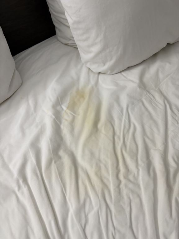 金斯兰温德姆呗盟酒店-旅行者