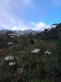 MW Trekking Viagens e Turismo-Sao Jose do Barreiro必去景点
