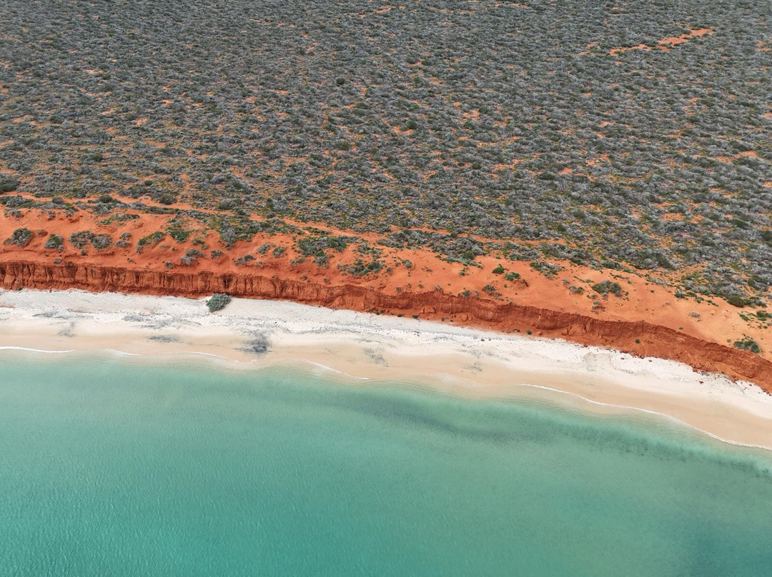 Shark Bay Coastal Tours-德纳姆必去景点