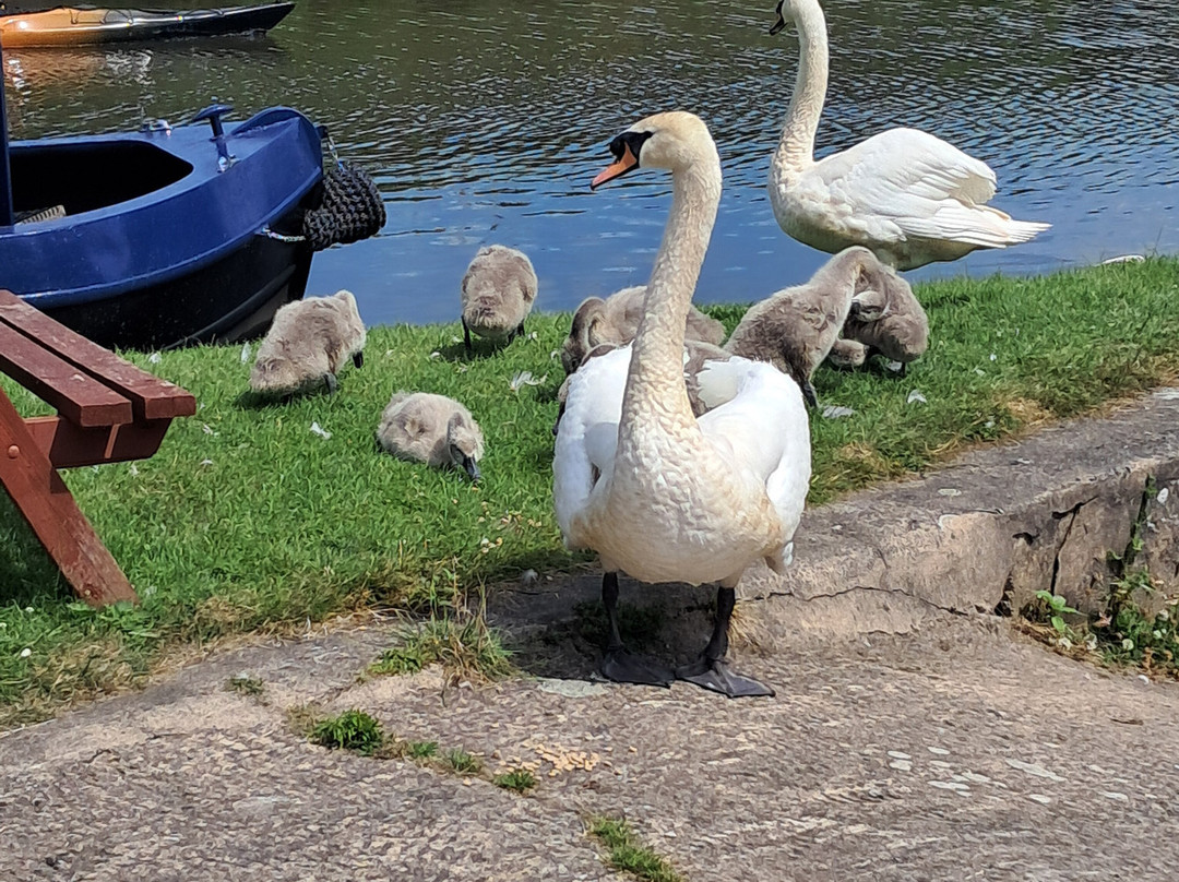 Lancashire Canal Cruises-Burscough必去景点