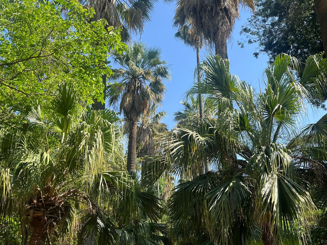 Orto Botanico-巴勒莫必去景点