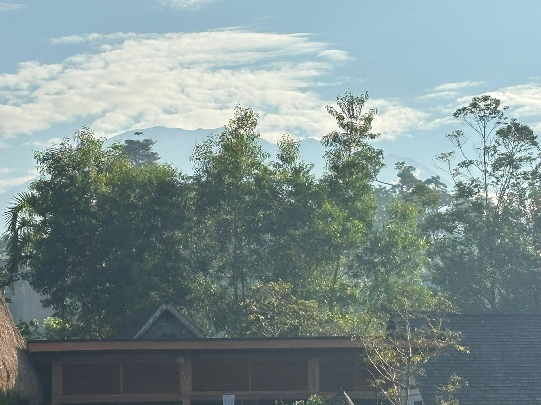 Anandinii Organic Garden & Kitchen-席德门必去景点