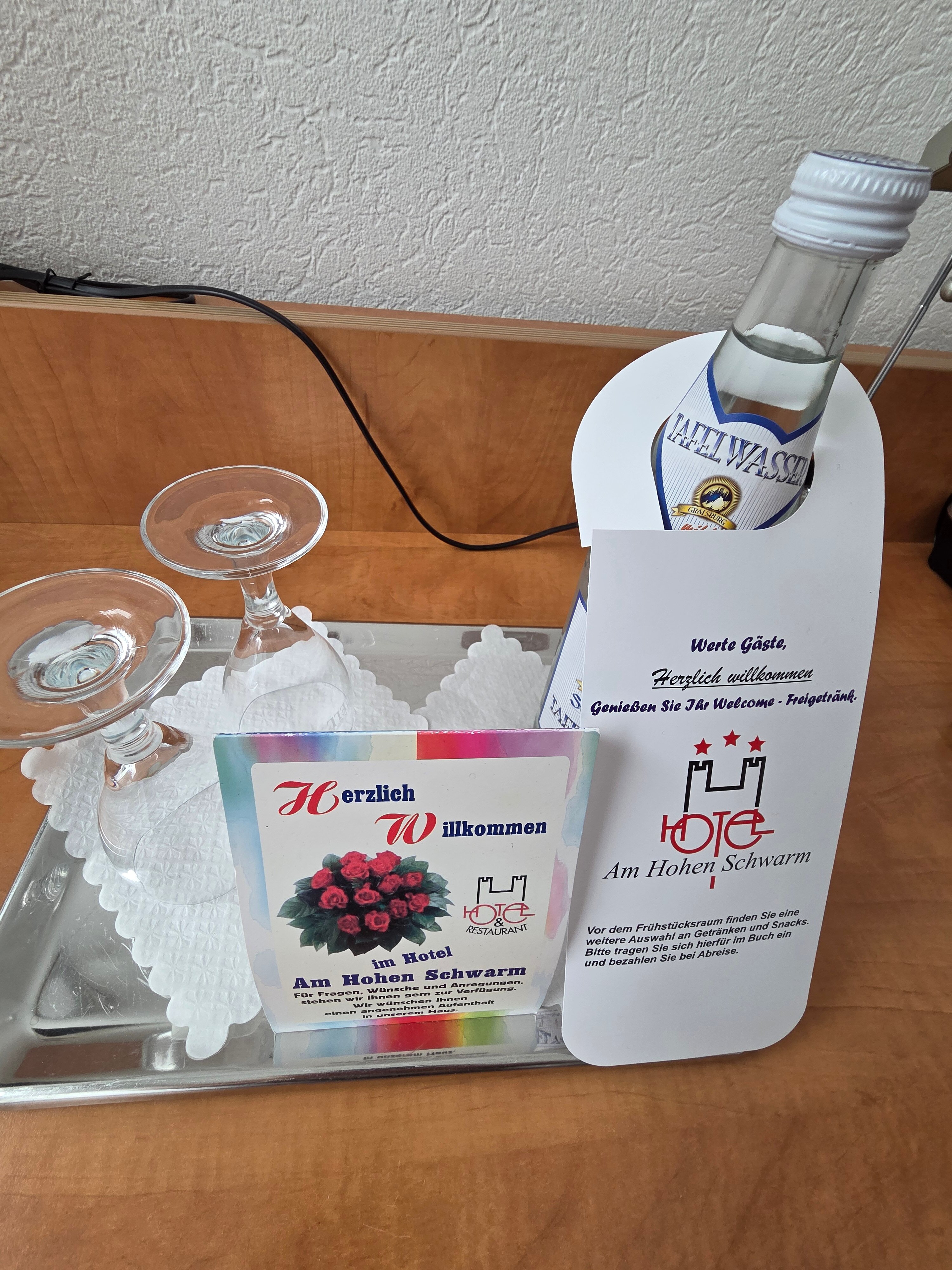 Hotel am Hohen Schwarm-旅行者