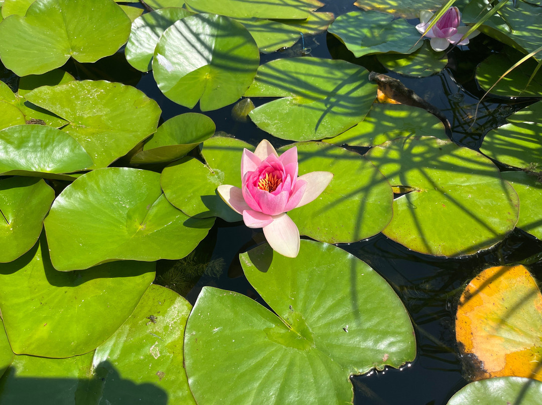 The Bug Parc-Lenwade必去景点