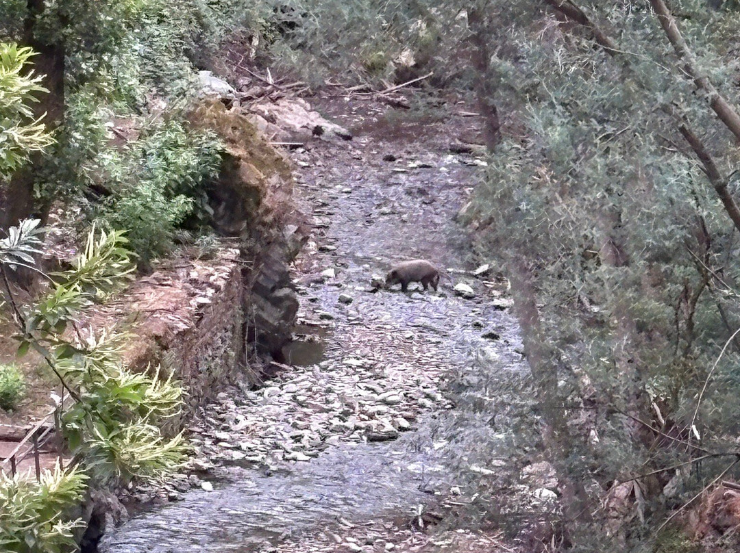 Praia Fluvial da Senhora de Piedade-Lousa必去景点