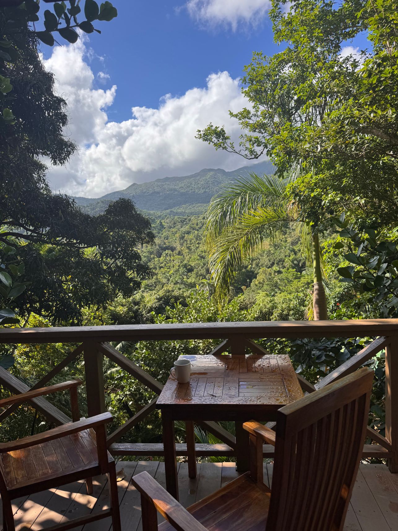 Yuquiyu Treehouses-旅行者