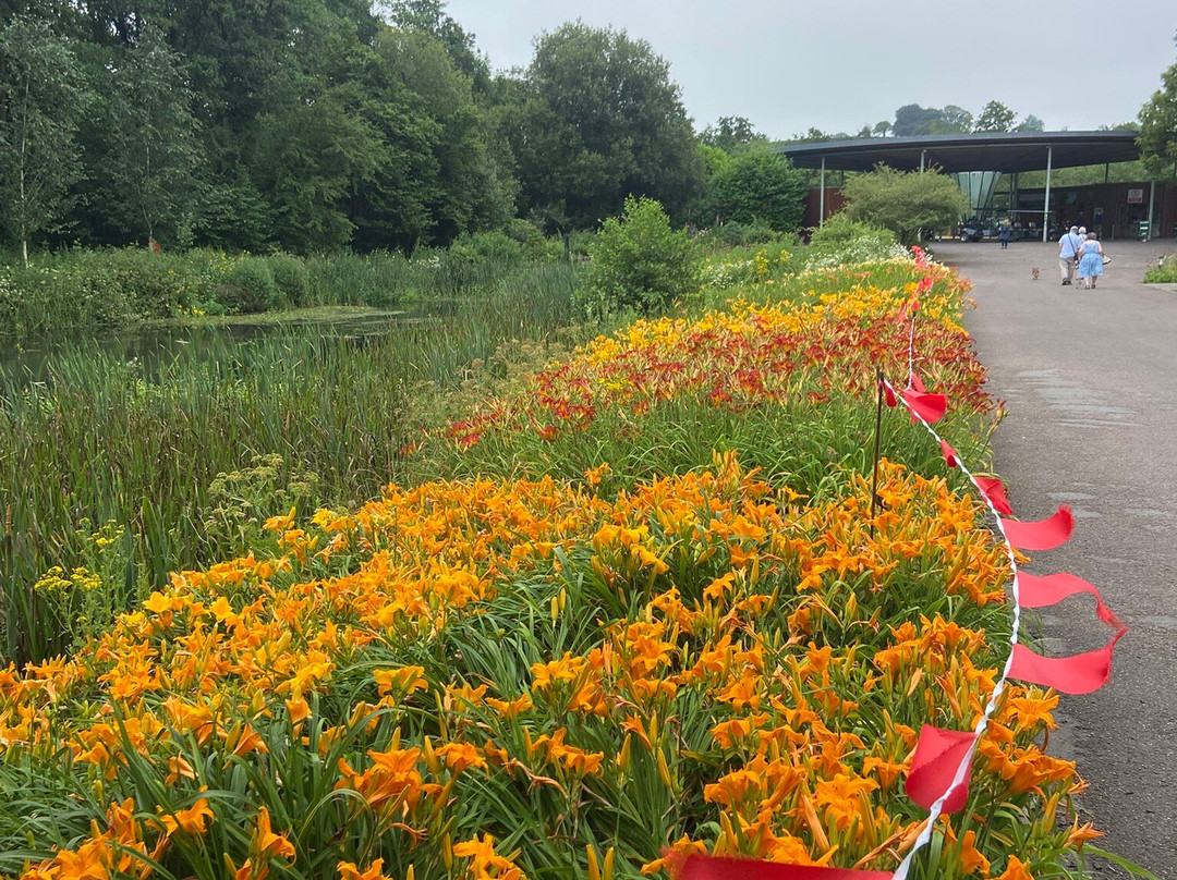 National Botanic Garden of Wales-Llanarthney必去景点