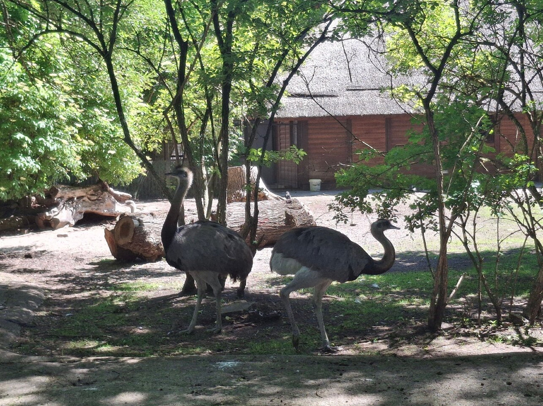 Kaliningrad Zoopark-加里宁格勒必去景点