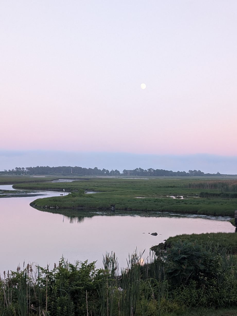 Ogunquit River Inn & Suites-旅行者