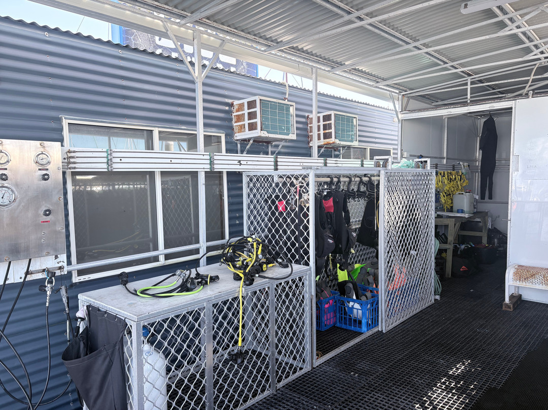 Hervey Bay Dive Centre-尤兰根必去景点