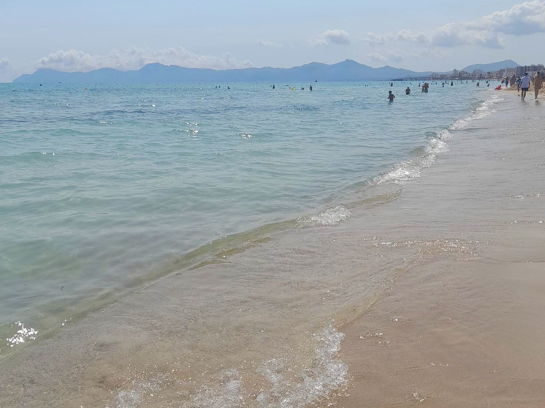 Playa de Ca'n Picafort-Ca'n Picafort必去景点