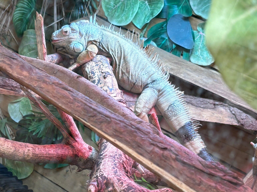 Wild Zoological Park-Bobbington必去景点