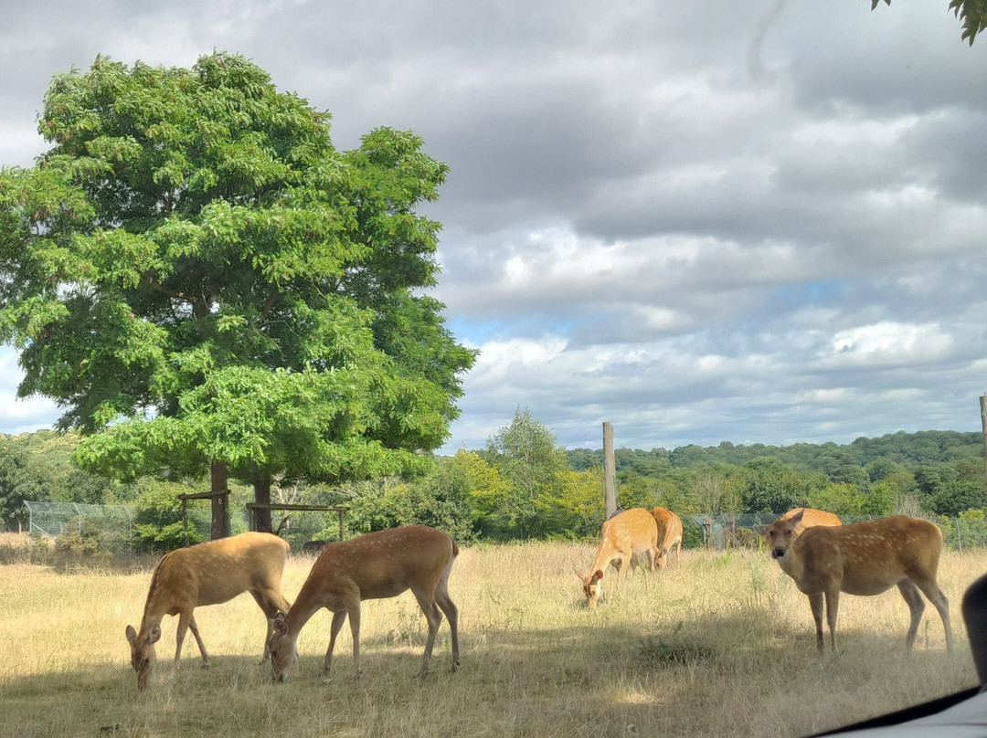 West Midlands Safari Park-Bewdley必去景点