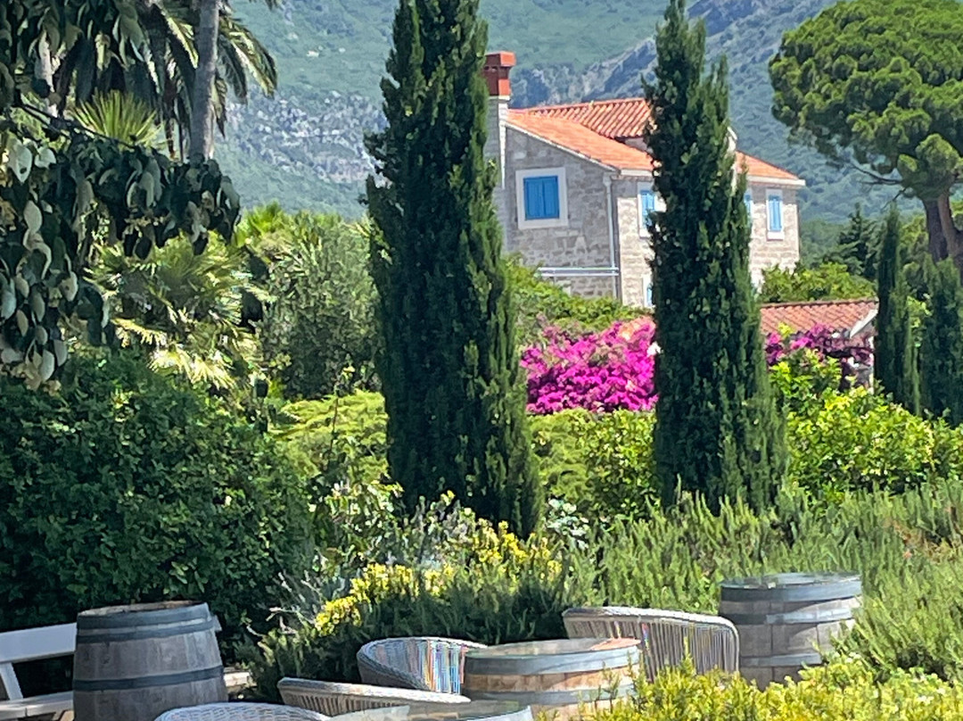 Savina Winery-赫尔采格诺维必去景点